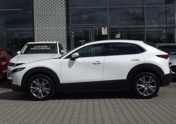 Mazda CX-30 cena 134900 przebieg: 11500, rok produkcji 2023 z Jedlina-Zdrój małe 67